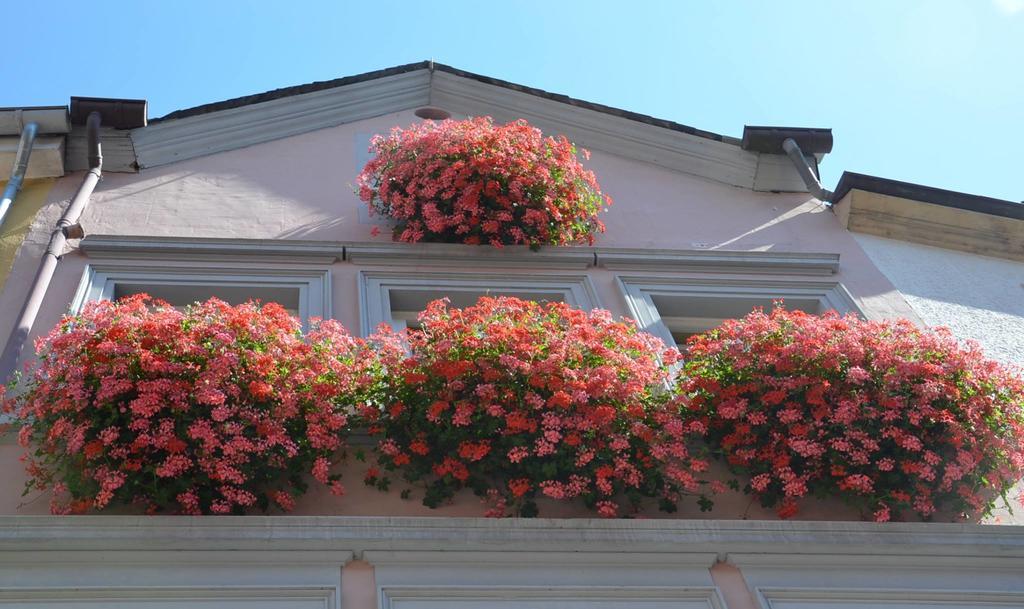Mosel Roeschen Villa Bernkastel-Kues Kültér fotó
